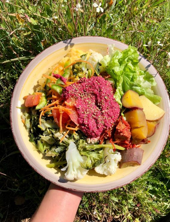 Seasonal salad bowl